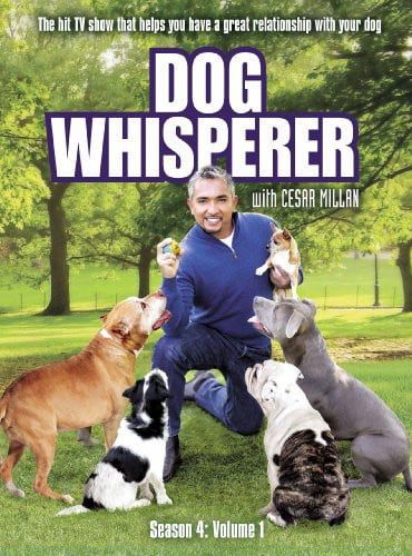 Dog Whisperer: Season 4 (DVD)