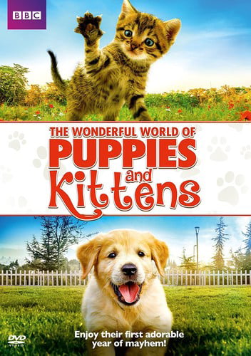 Wonderful World Of Puppies And Kittens (DVD)