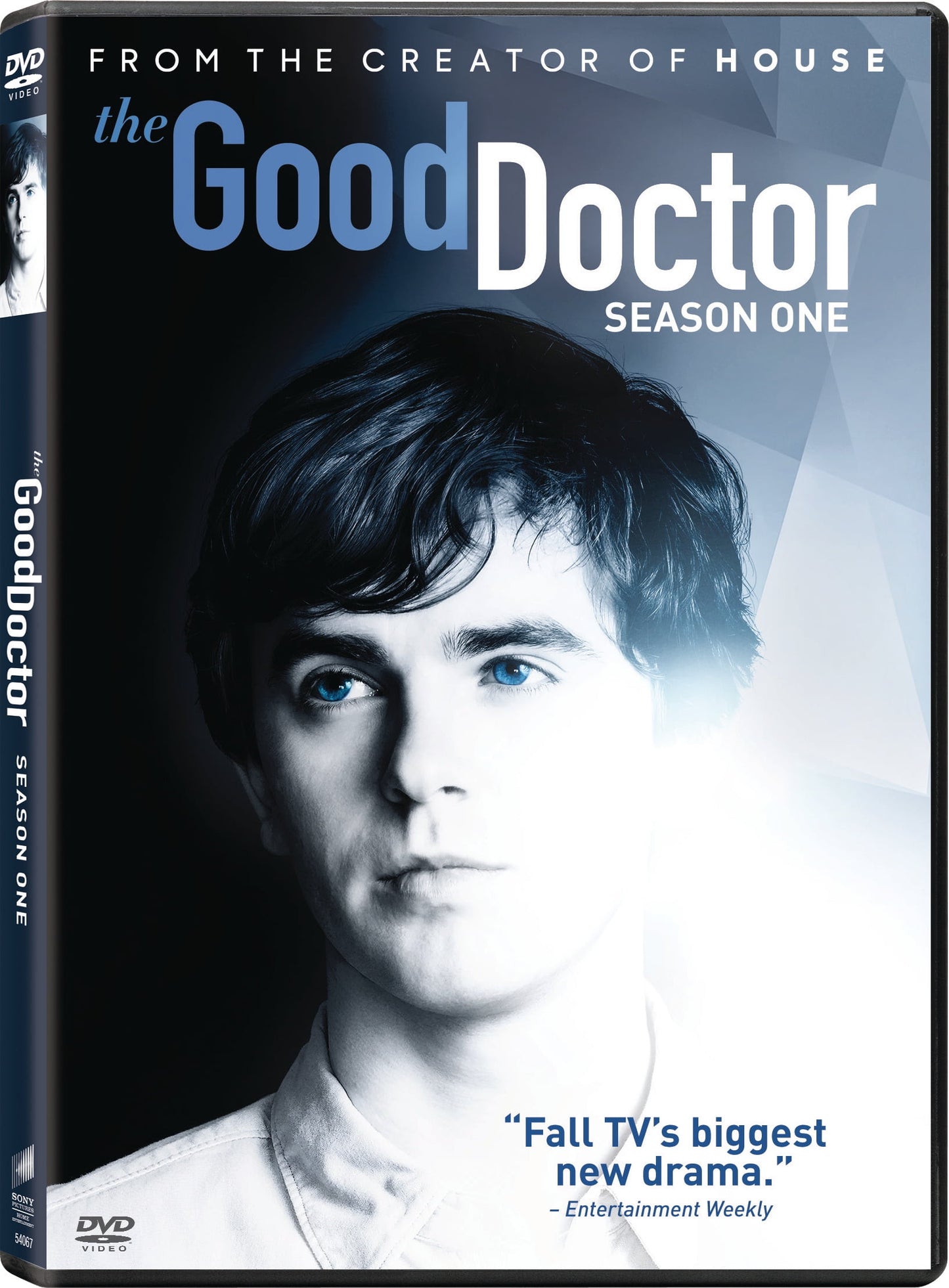 The Good Doctor: Season One (DVD Sony Pictures)