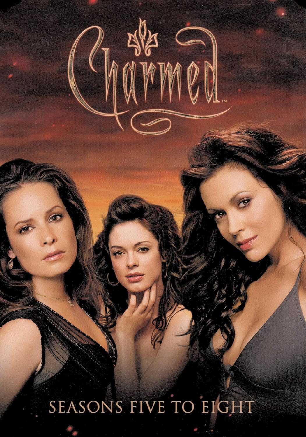Charmed Seasons 5-8 (DVD)