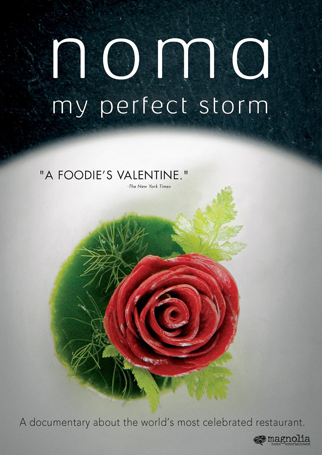 Noma: My Perfect Storm (DVD) Brand New!!