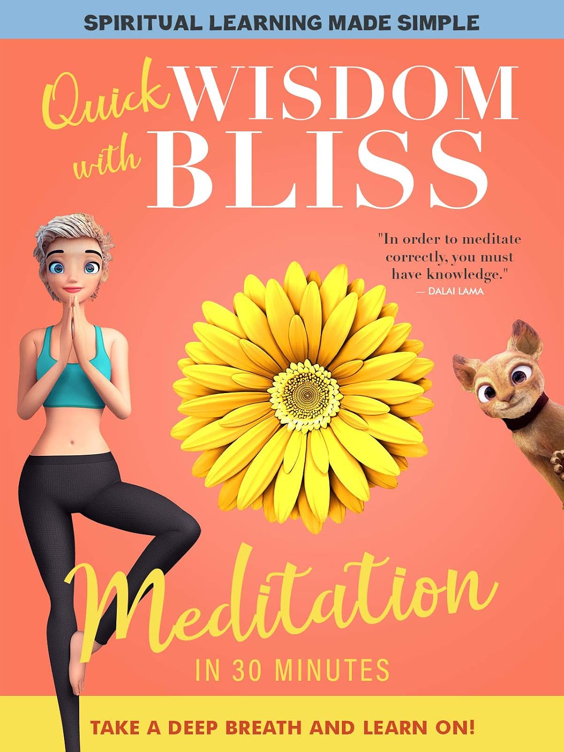 Quick Wisdom with Bliss: Meditation in 30 Minutes (DVD) Brand New