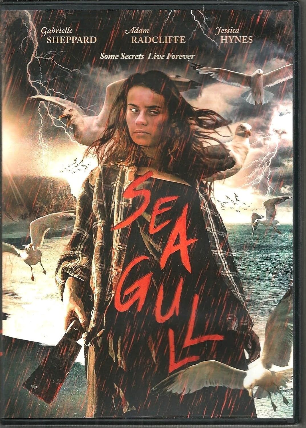 Seagull by Jessica Hynes , Gabriella Sheppar (DVD) Brand New!!