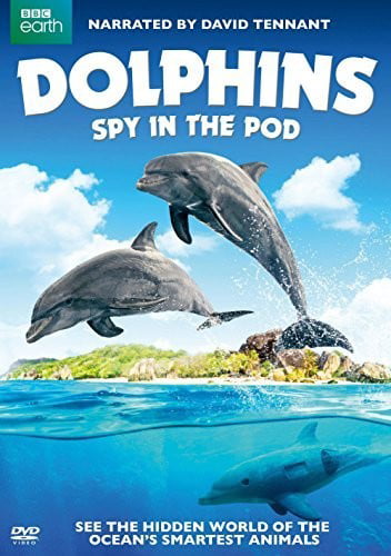 Dolphins: Spy In The Pod (DVD)