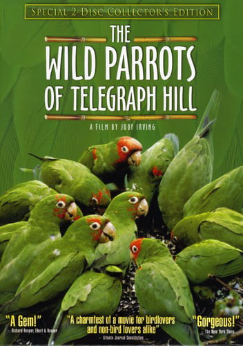 The Wild Parrots of Telegraph Hill (DVD)