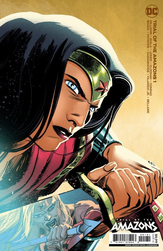 Trial of the Amazons #1 Rafael Albuquerque Card Stock 1:25 Incentive Variant Cover