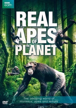 The Real Apes of the Planet (DVD)