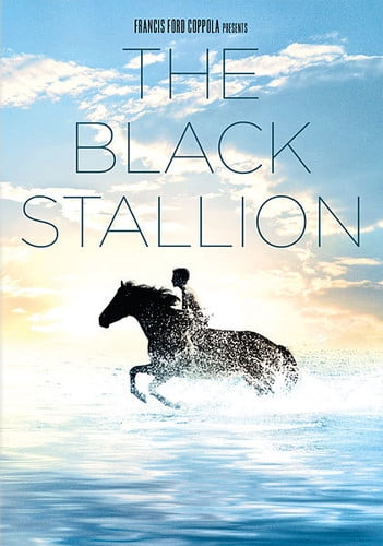 The Black Stallion (Other)