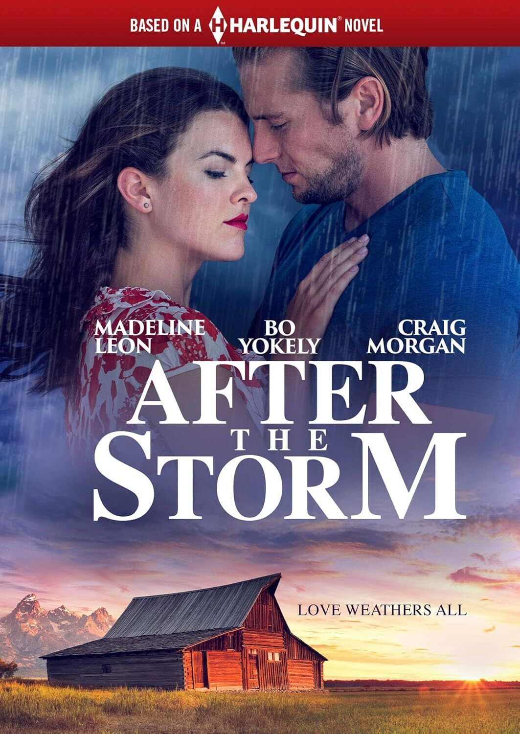 After the Storm (Harlequin) (DVD) BRAND NEW!!!