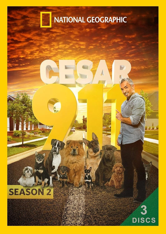 New Cesar 911: Season 2 (DVD) BRAND NEW!!! & SEALED!!!
