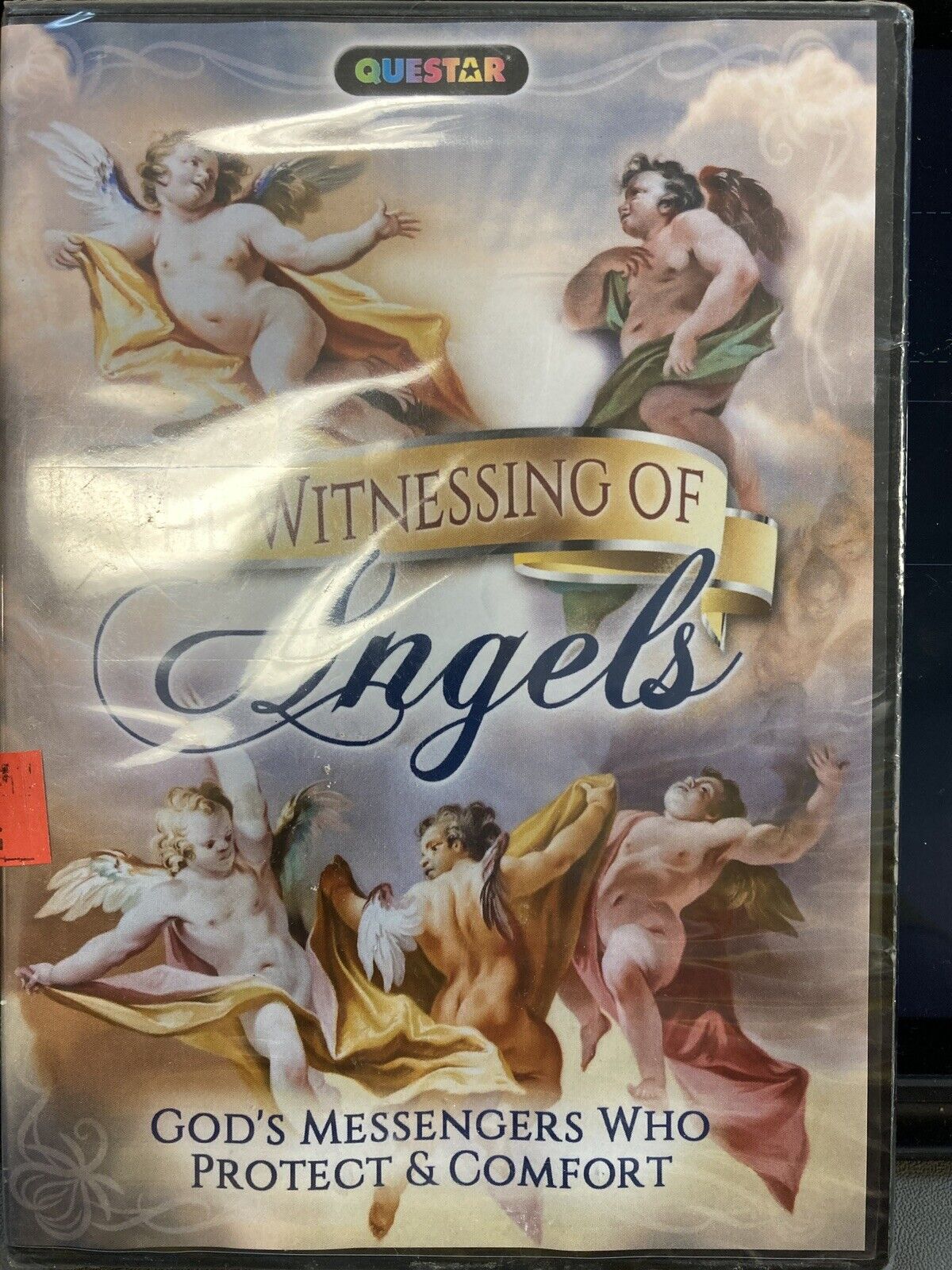 The Witnessing of Angels (DVD)