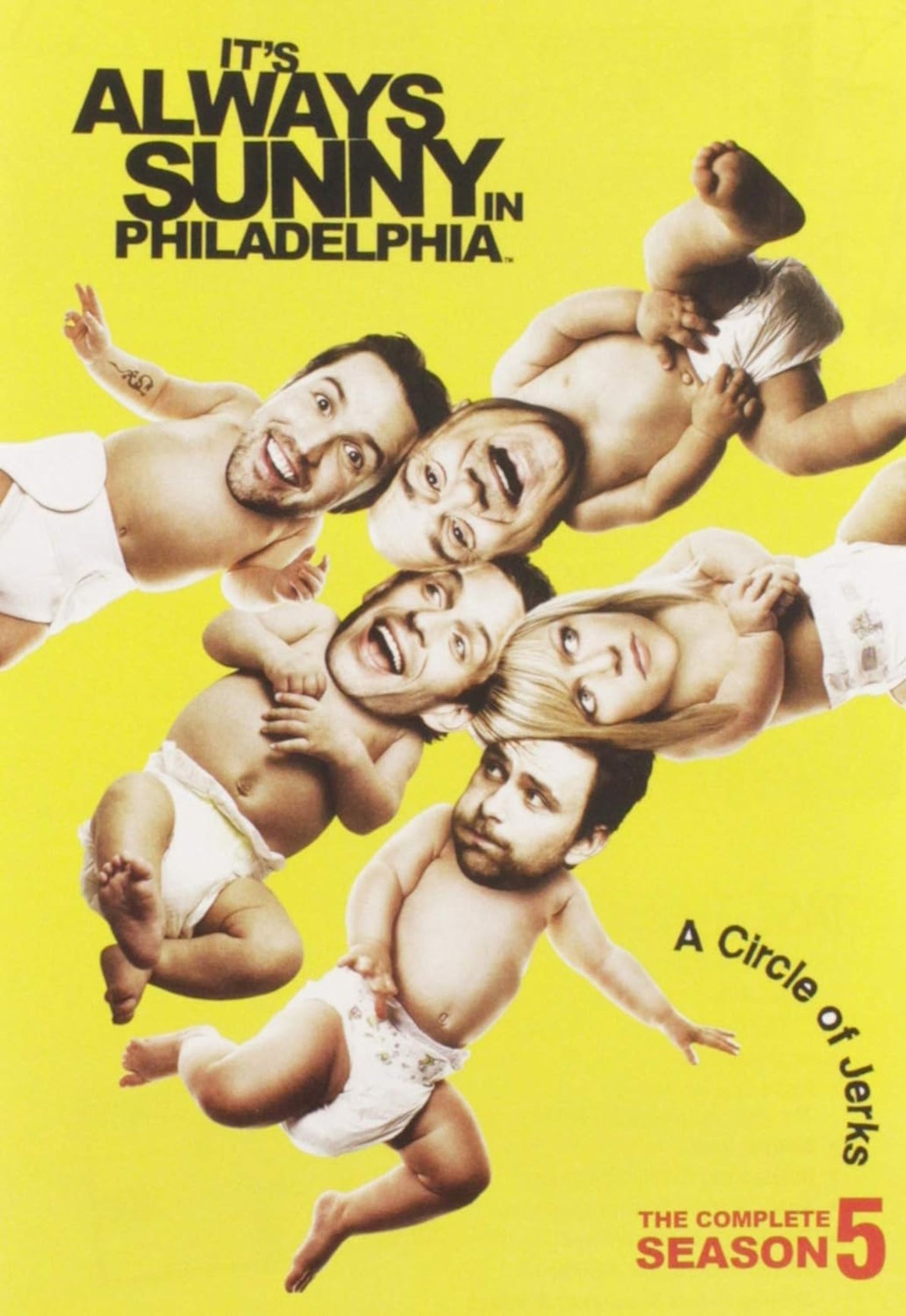 It's Always Sunny in Philadelphia: It's Always Sunny in Philadelphia: Season 5 (Other)